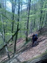 Тибава з panoramio.com