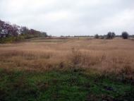 Білецьківка з panoramio.com