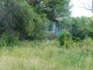 Василівка Перша з panoramio.com