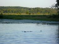 Матяшівка з panoramio.com