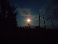 Панкратове з panoramio.com