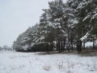 Нова Мерефа з panoramio.com