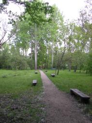 Шевченкове з panoramio.com