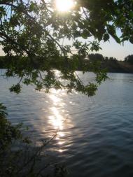 Бірюкове з panoramio.com