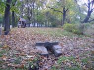 Шевченкове з panoramio.com