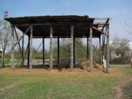 Чеснівка - Останні фото