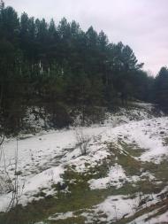 Влащинці - Останні фото