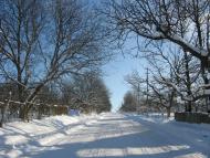 Шубранець з panoramio.com