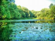 Щорсівка з panoramio.com