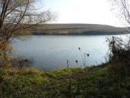 Скрипалі з panoramio.com