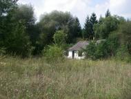 Виповзів з panoramio.com