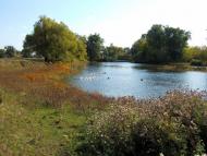 Острів з panoramio.com