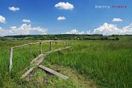 Василівка Перша з panoramio.com