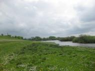 Черепашинці з panoramio.com