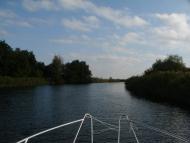 Берегове з panoramio.com