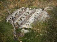 Бронне з panoramio.com