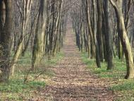 Підбірці з panoramio.com