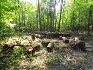 Нова Гута з panoramio.com