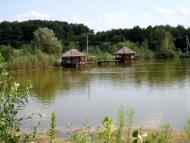 Вільхове з panoramio.com