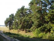 Гірки з panoramio.com