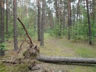 Скиток з panoramio.com