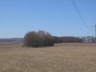 Малинівка з panoramio.com