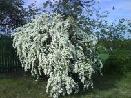 Макіївка - Останні фото