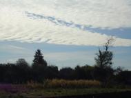 Вовничі з panoramio.com