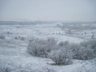 Нова Мерефа з panoramio.com