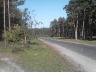 Козлин з panoramio.com