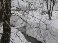 Дорогів з panoramio.com