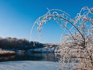 Новошини з panoramio.com