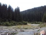 Голошина з panoramio.com