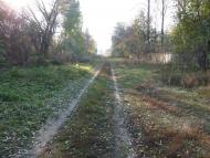 Скрипалі з panoramio.com