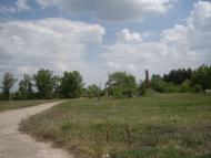 Васьки з panoramio.com