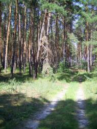 Бірки з panoramio.com