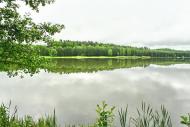 Верещиця з panoramio.com