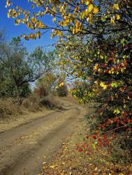 Новожитомир з panoramio.com