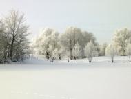 Бірки з panoramio.com