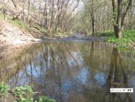 Черемшине з panoramio.com