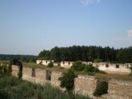 Чаплищі з panoramio.com