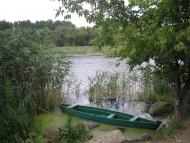 Скалева з panoramio.com