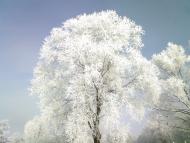 Бірки з panoramio.com