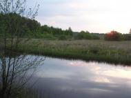 Жупанівка з panoramio.com