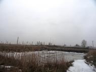 Мильці з panoramio.com