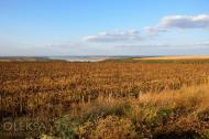 Калинівка з panoramio.com