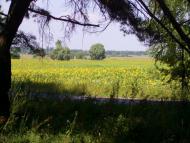 Бірки з panoramio.com