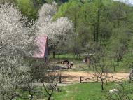 Анталовці з panoramio.com