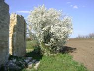 Глибоке з panoramio.com