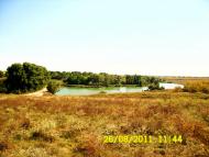 Велика Чечеліївка - Останні фото